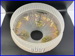 Aladdin 70th Anniversary Reverse Painted Model 23 LE Frosted Oil Kerosene Lamp