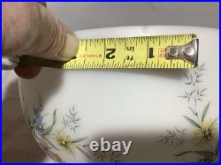 Aladdin Clear Glass Beehive Oil Lamp Nu-Type Model B with Glass Floral Print Shade