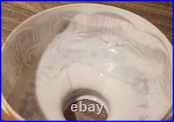 Aladdin Coleman Rayo Oil Lamp Glass Shade Victorian Deco Flowers 10 Fitter GWTW
