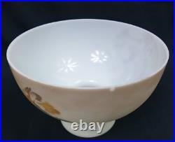 HTF Aladdin Mallard Duck & Canada Geese Milk Glass Rayo Kerosene Lamp Shade M545