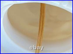 Pair of 2 Two Aladdin Lamps Set G255 Alacite Art Glass Mid Century Electric Lamp