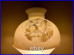 Rare Aladdin Kerosene Mantle Lamp 10 White Geese & Mallard Ship Lamp Shade M545