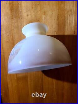 Rare Aladdin Kerosene Mantle Lamp 10 White Geese & Mallard Ship Lamp Shade M545