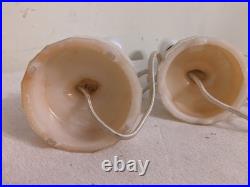 Rare Pair Antique Art Deco Aladdin Alacite Table Lamps Uranium Glass