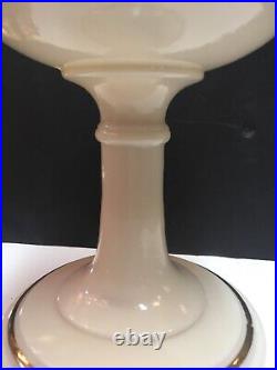 Rare vintage ALADDIN MODEL B-26 / SIMPLICITY DECALCOMANIA KEROSENE LAMP