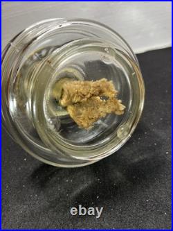 VINTAGE Aladdin Nu-Type Model B Glass Oil Lamp Base, Chimney 19.5 USA Rare