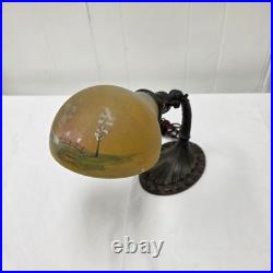 Vintage Aladdin No. 50 Gooseneck Desk Lamp Cast Iron Base Reverse Painted Shade