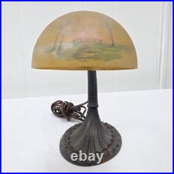 Vintage Aladdin No. 50 Gooseneck Desk Lamp Cast Iron Base Reverse Painted Shade