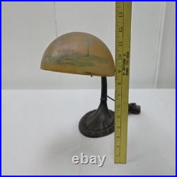 Vintage Aladdin No. 50 Gooseneck Desk Lamp Cast Iron Base Reverse Painted Shade