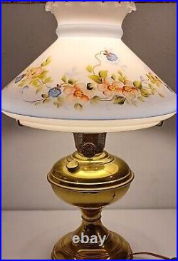 Vtg Electrified Aladdin Mantle Lamp Co #6 oil lamp w Hand Painted Glass Shade