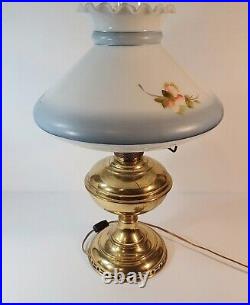 Vtg Electrified Aladdin Mantle Lamp Co #6 oil lamp w Hand Painted Glass Shade